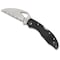 Spyderco 2023 Spyderco Reveal 9, Meadowlark 2 Wharncliffe, Serrated Edge SPY-BY04SBKWC2 - alternate 2
